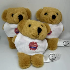 New ITP Aware Bear